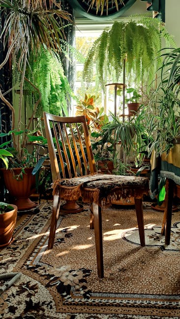 Beautiful collection of humidity-increasing indoor plants including pothos, peace lily, and ferns arranged in typical Guatemalan home interior naturally improving air moisture levels