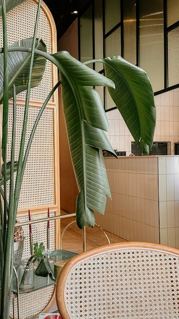 Modern ultrasonic humidifier operating in typical Guatemalan home interior with tropical plants, comfortable furniture, and warm natural lighting creating optimal indoor humidity levels